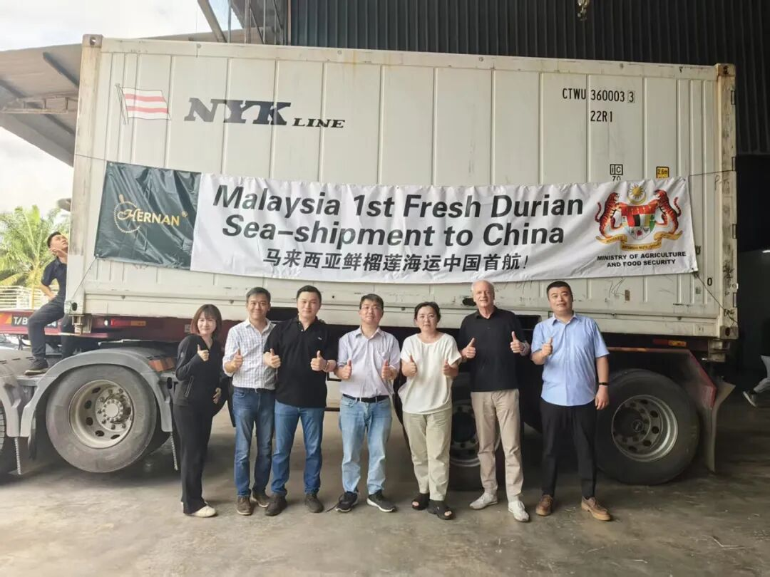 Bevictorΰ¹-Τ(й)-ΰʼ1946